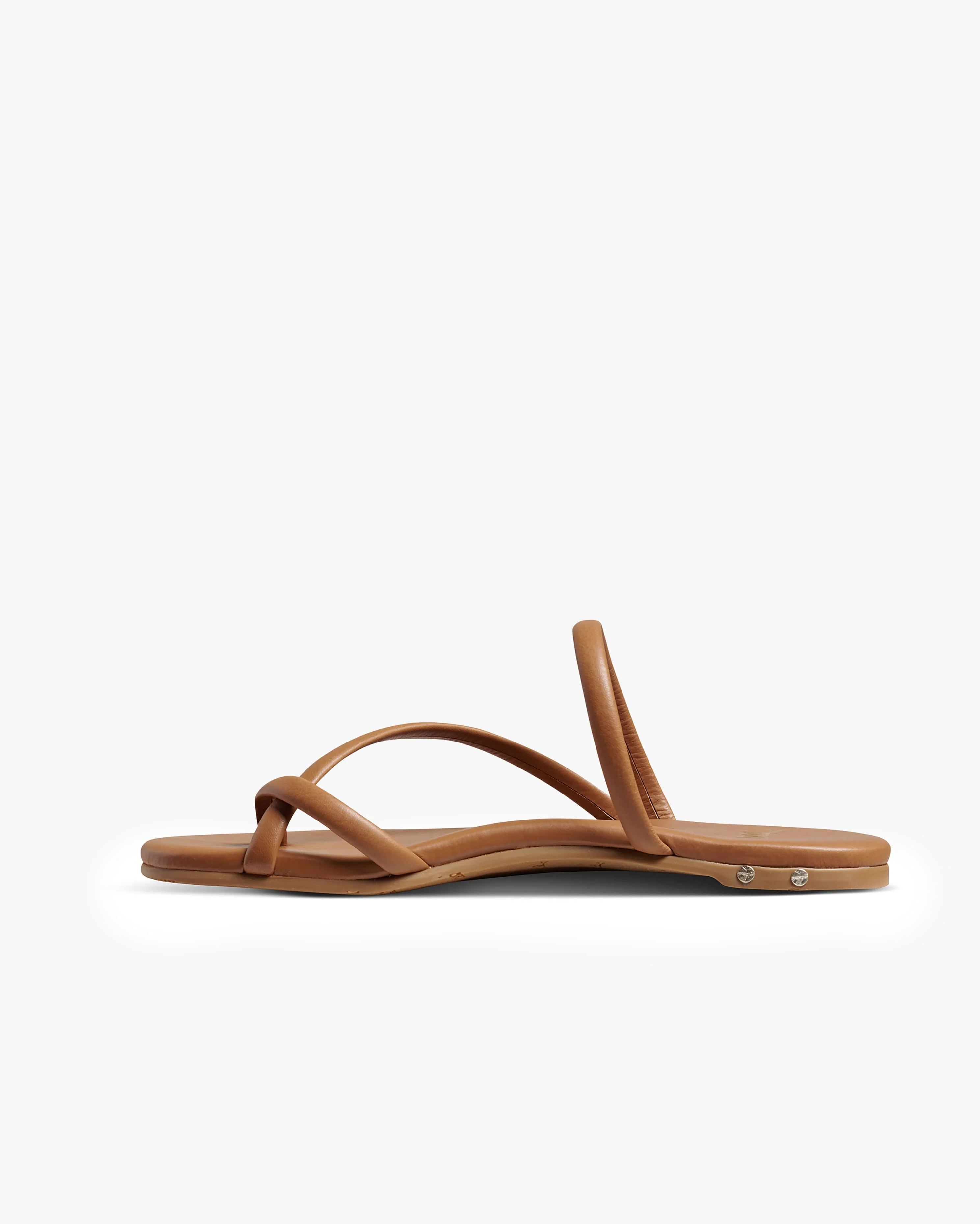 SUNBIRD - Tan - Image 3
