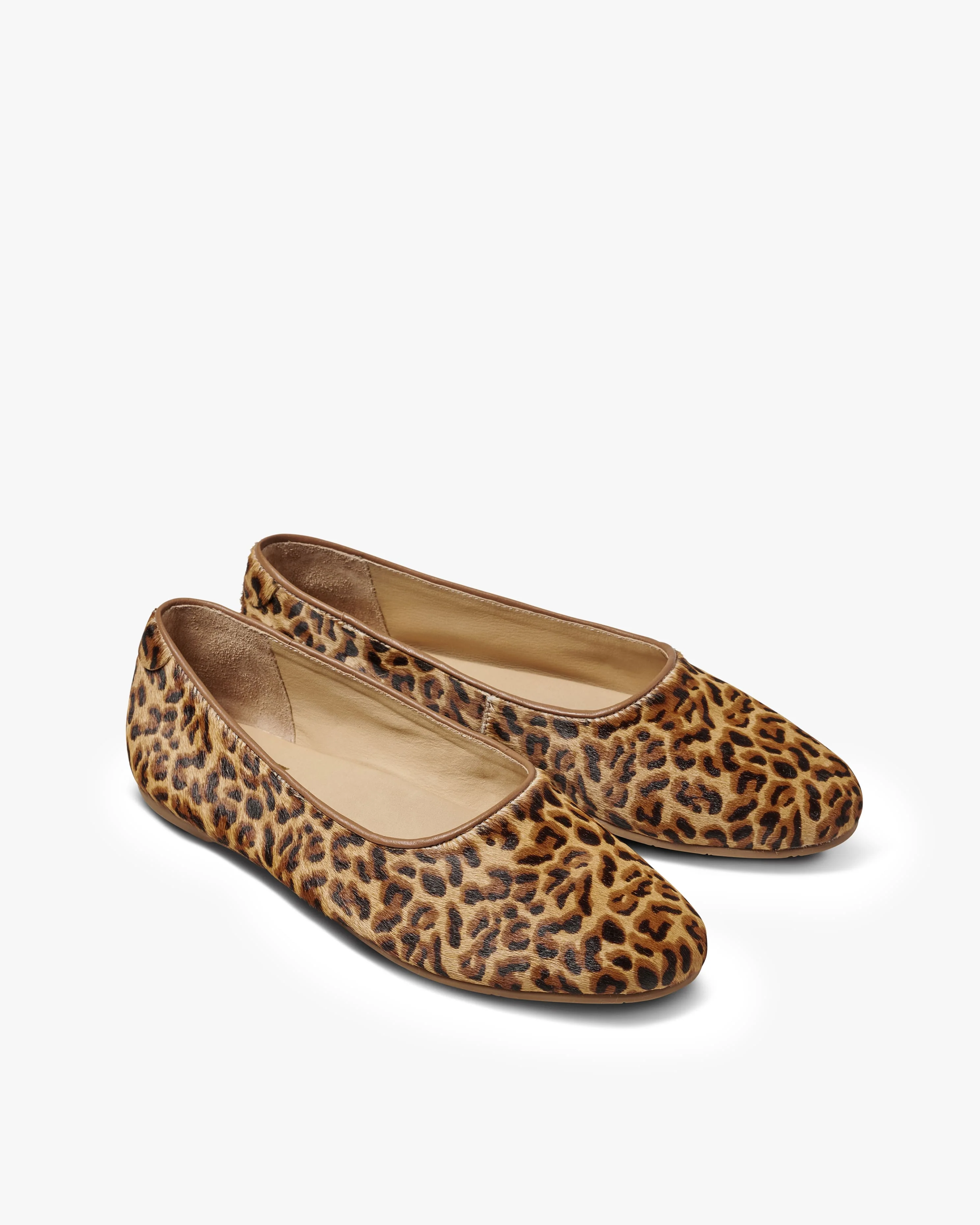 SWIFTLET - Leopard