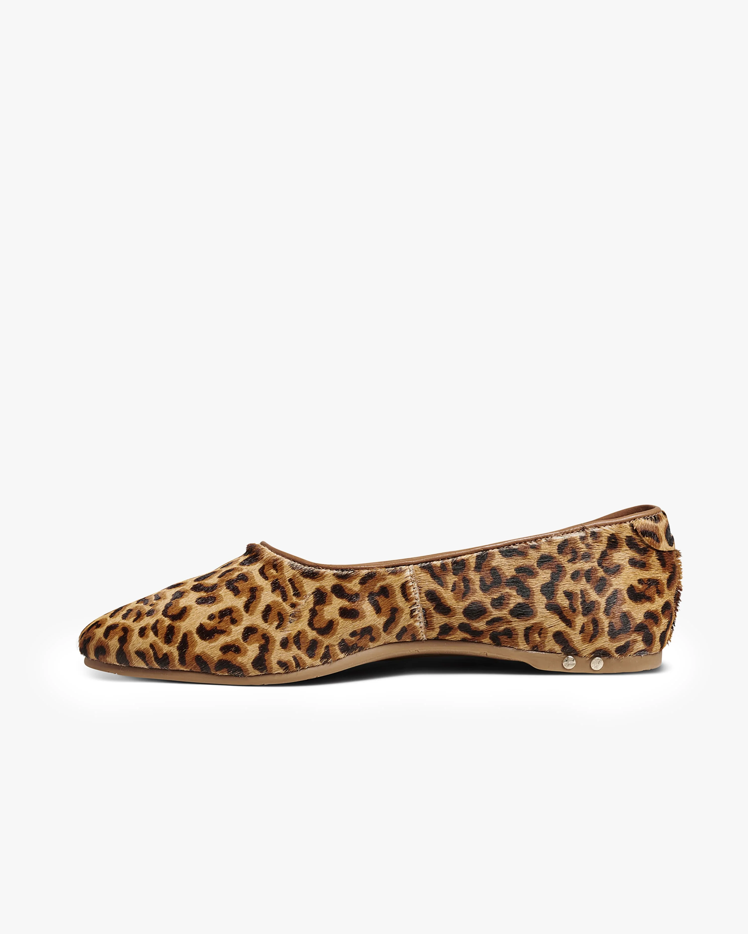 SWIFTLET - Leopard - Image 3