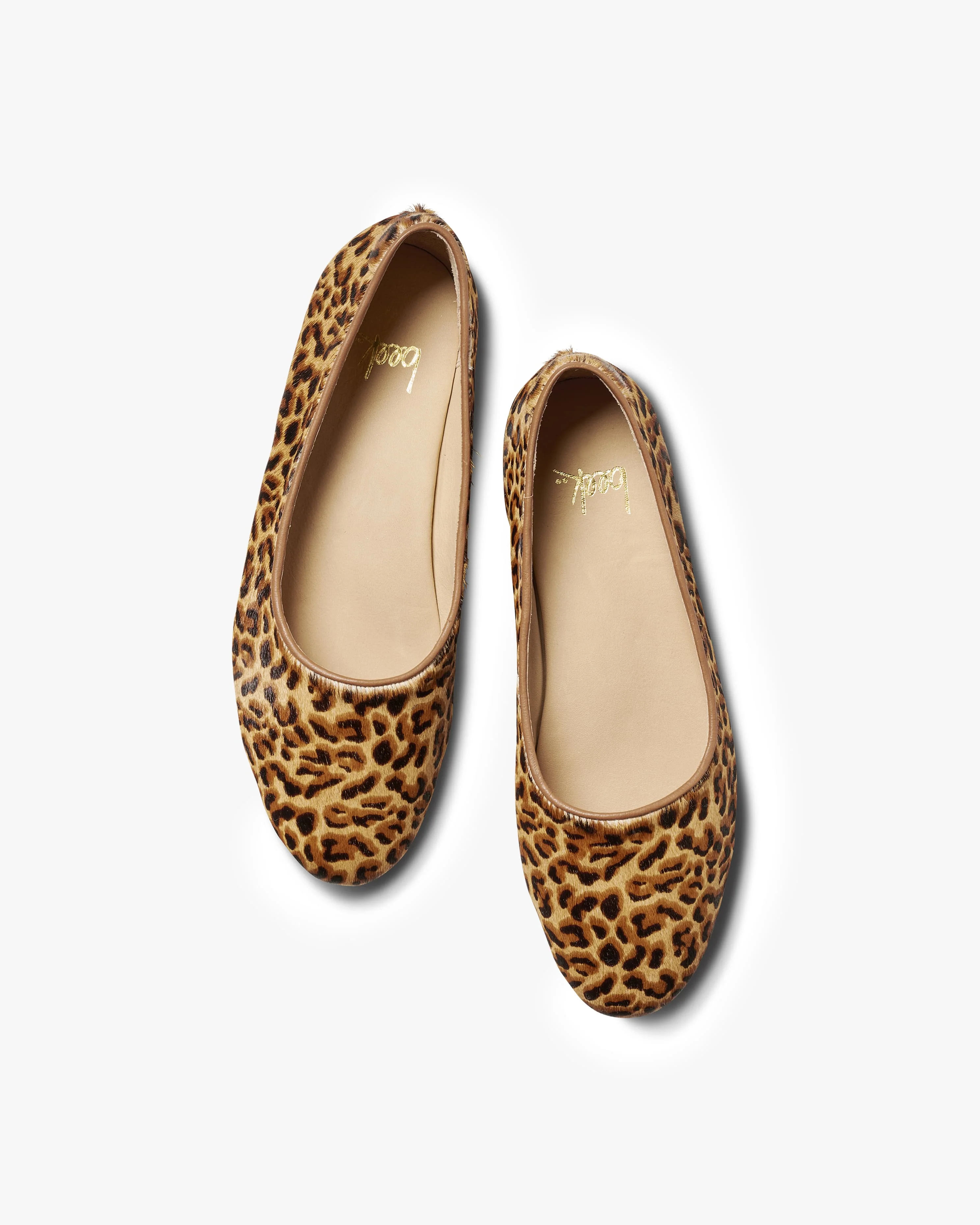 SWIFTLET - Leopard - Image 5